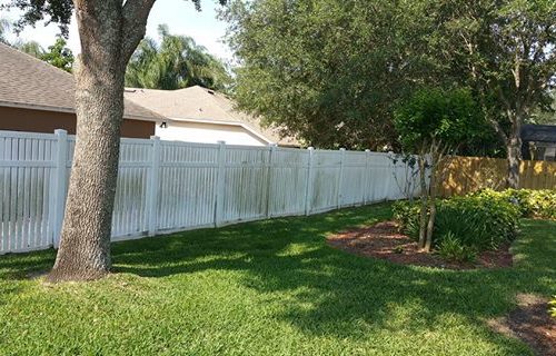 Fence Cleaning Before
